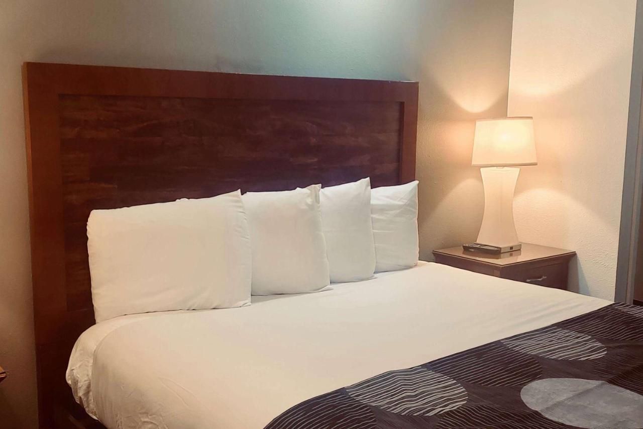 Oceanside Inn & Suites, A Days Inn By Wyndham ฟอร์ตแบรก ภายนอก รูปภาพ